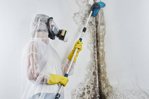 Local water damage restoration in Nappanee, IN